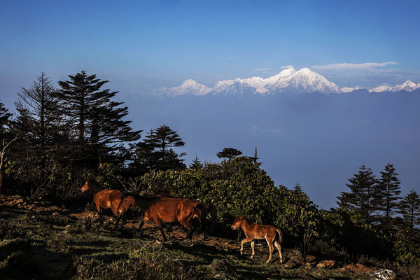 Garze Gongga Mountain View