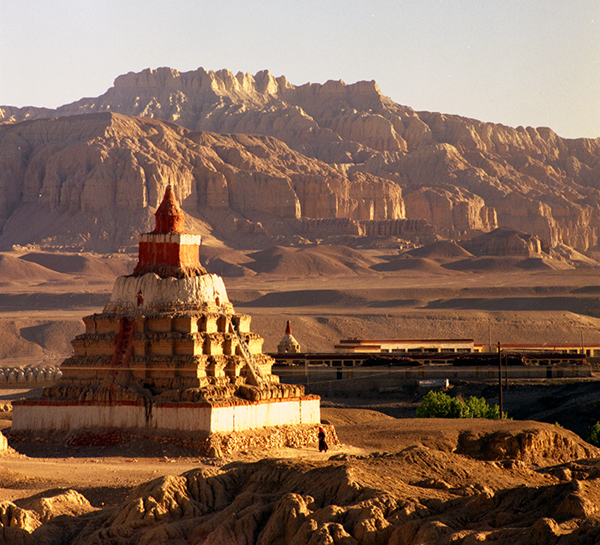 Zada Earth Forest of Tibet