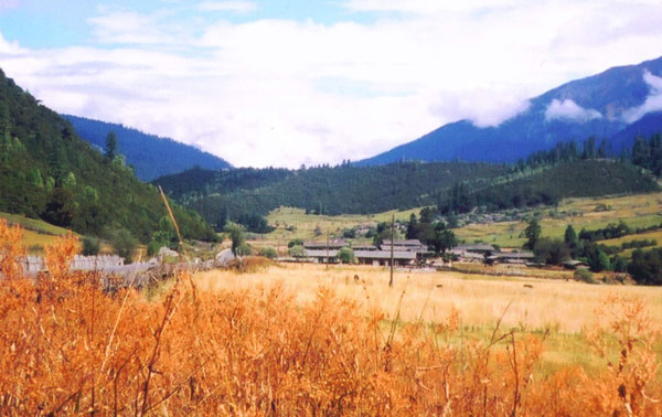 Linzhi Lulang Autumn