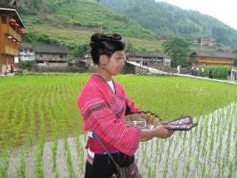 Longsheng Hong Yao Village Longsheng Hong Yao Village