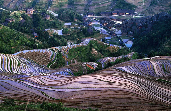 Longsheng Jinkeng Dazhai Yao Village Terraced Fiel