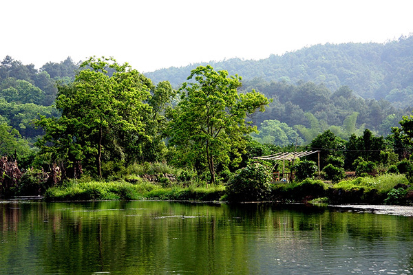 Li River Bank