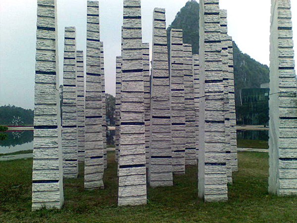 Wind in The Forest