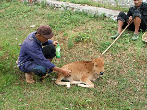 Villagers Near the Yuzi Paradise