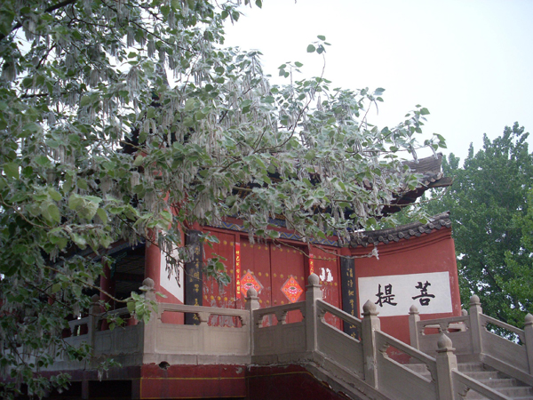 Temples in China