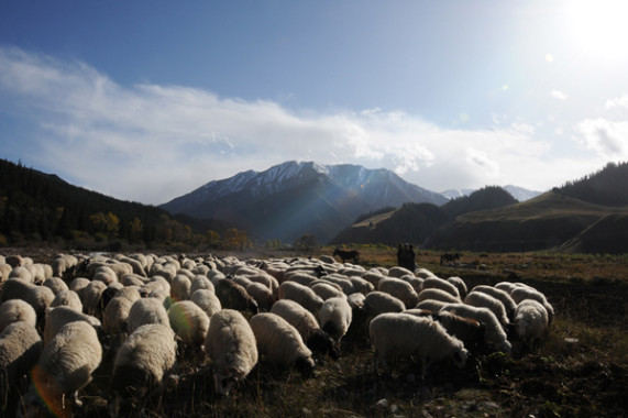 China Qilian Mountains