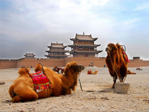 Wei Jin Art Gallery Gansu