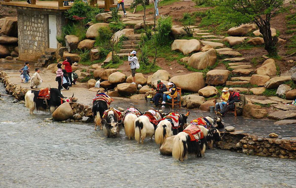 White Water River Vision