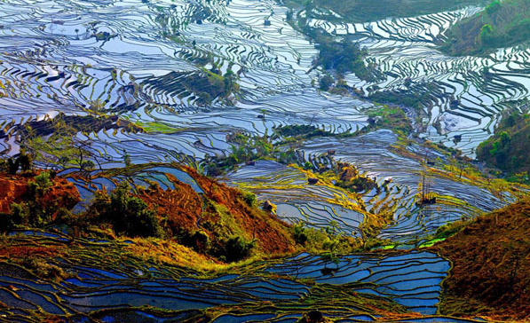 7-day Yunnan Dongchuan Red Land Yuanyang Photography Tour