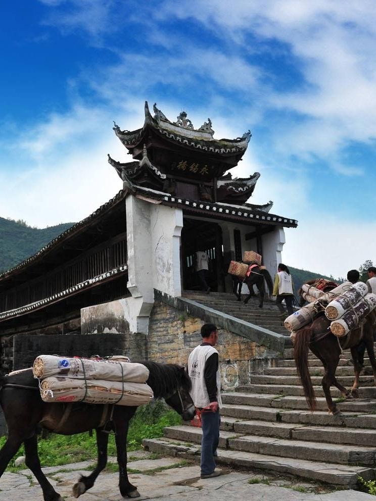 10-day China Tea Horse Road Tour