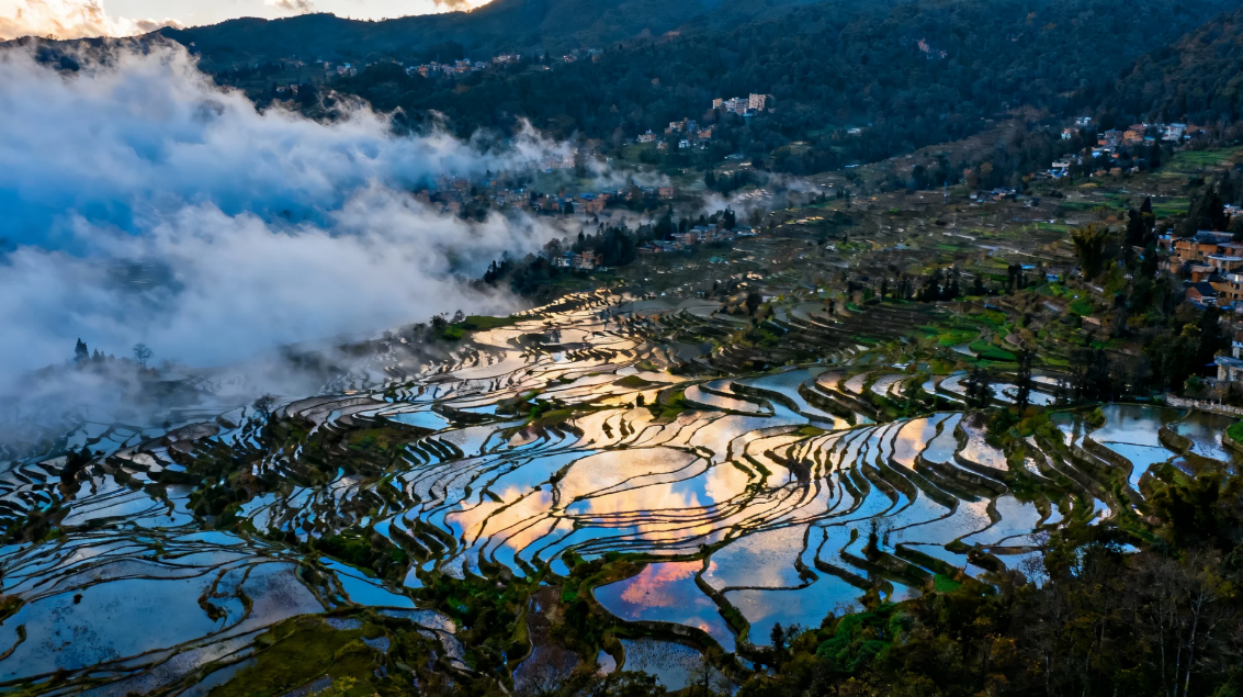 TRAVEL BETTER LIVE BETTER