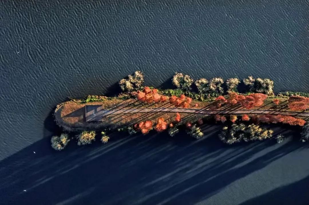 Travel Tips for Accessible China Tours