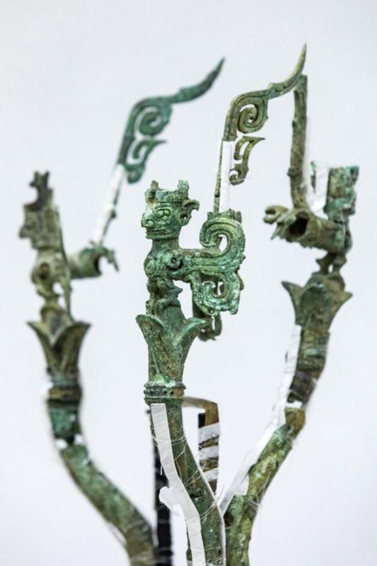 Xia and Shang Dynasties