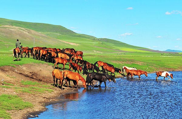 7-day Inner Mongolia Grassland Desert Genghis Khan Tour