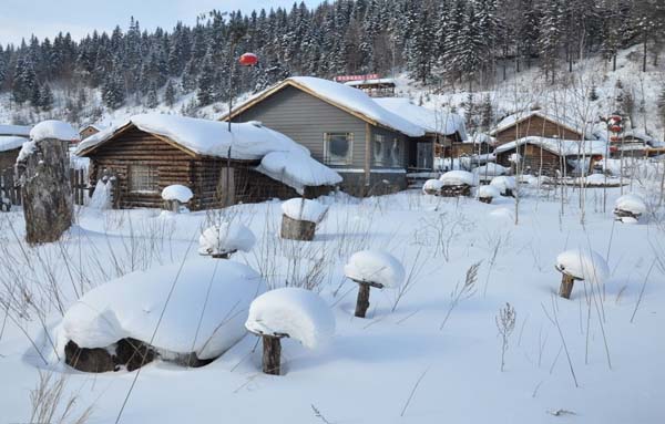 Day 2Harbin/Mudanjiang, China Snow Town