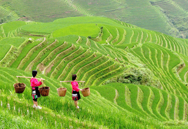 10-day Guilin & Guizhou Zhaoxing Guiyang Kaili Ethnic Tour