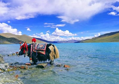 Day 4Lhasa/Namtso/Lhasa