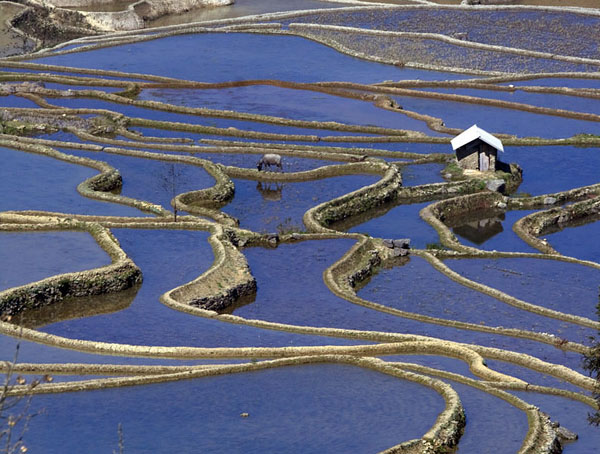 Day 10Yuanyang/Kunming