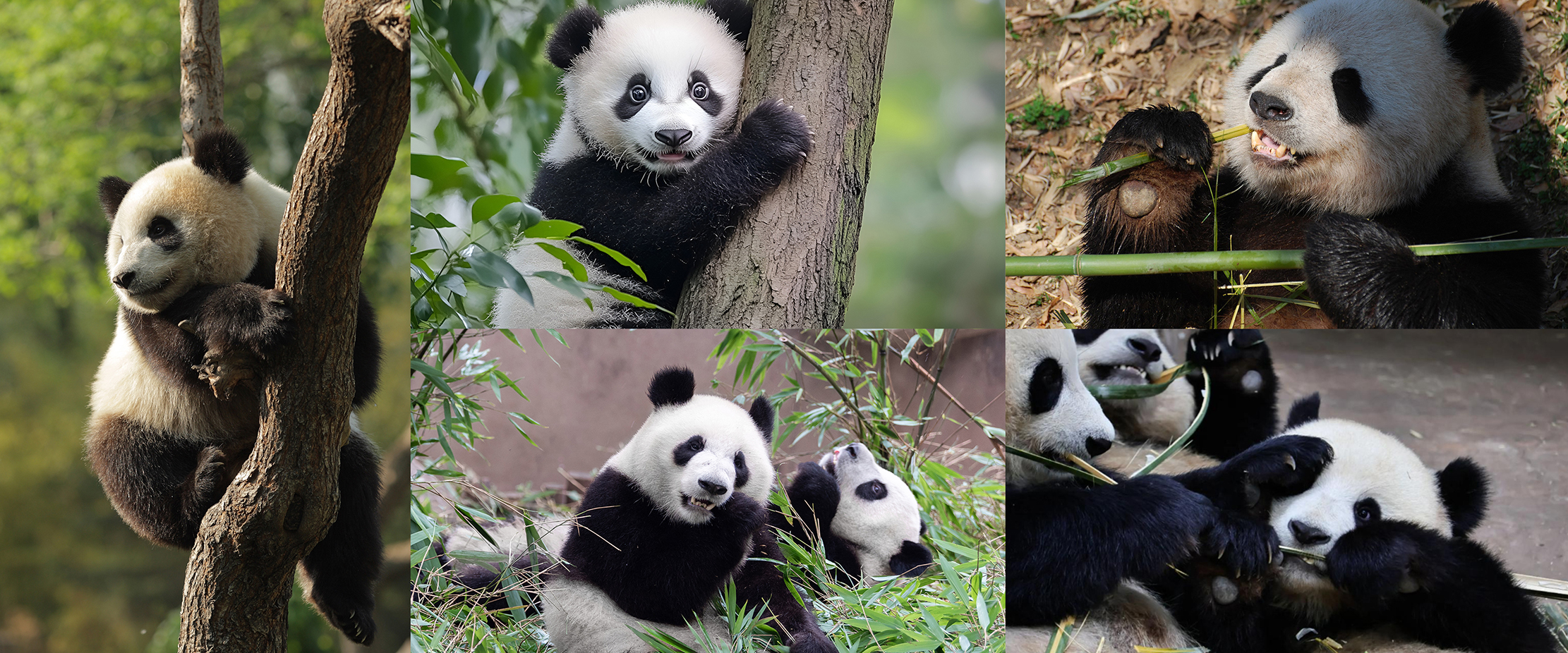 TRAVEL BETTER LIVE BETTER