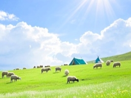 Nomadic Culture: Life on the Endless Steppe