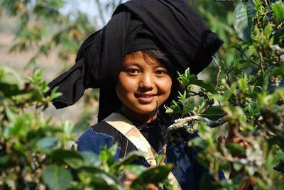 Blang minority culture & features