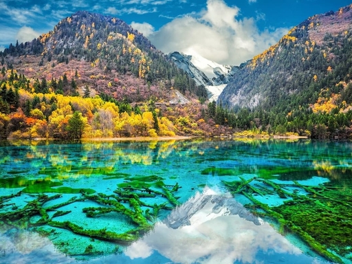 Jiuzhaigou: Where Nature Meets Qiang Spirit