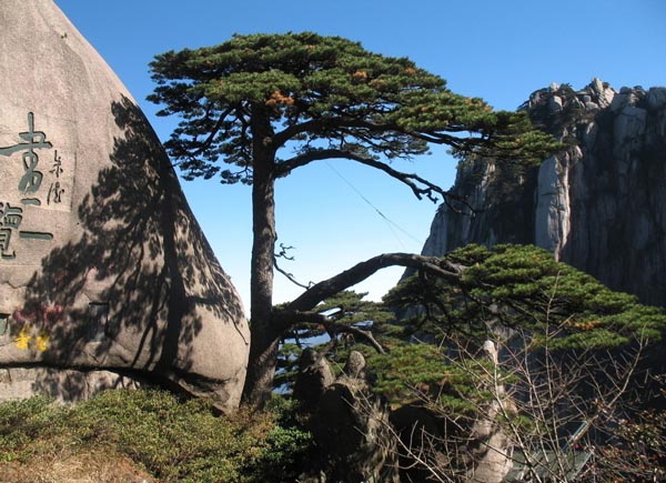 Day 2Huangshan Yellow Mountain