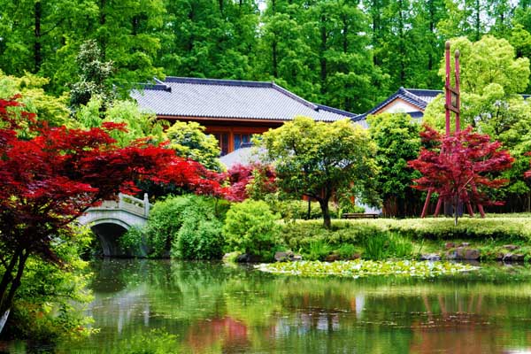 9-day Shanghai Suzhou Hangzhou Huangshan Tour