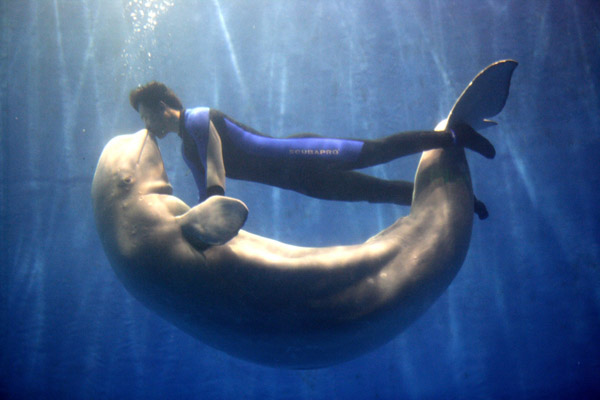 Harbin Pole Aquarium