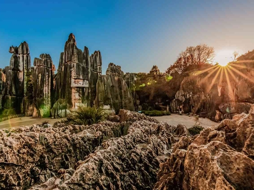 Stone Forest
