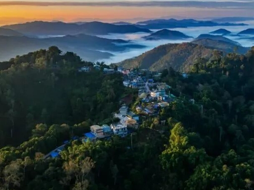 Xishuangbanna Tea Fields