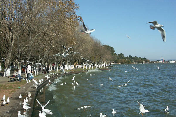 Dianchi Lake