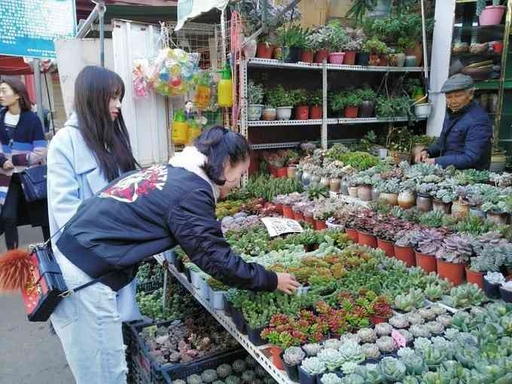 Kunming Flowers & Birds Market