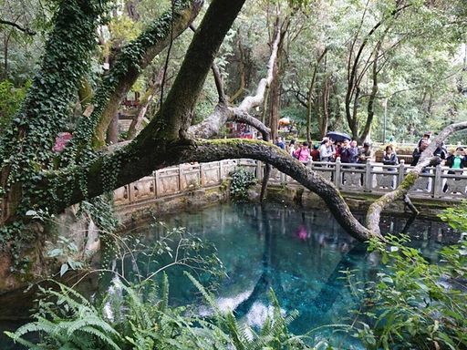 Butterfly Spring