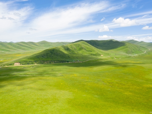 Nanshan Mountain Grasslands