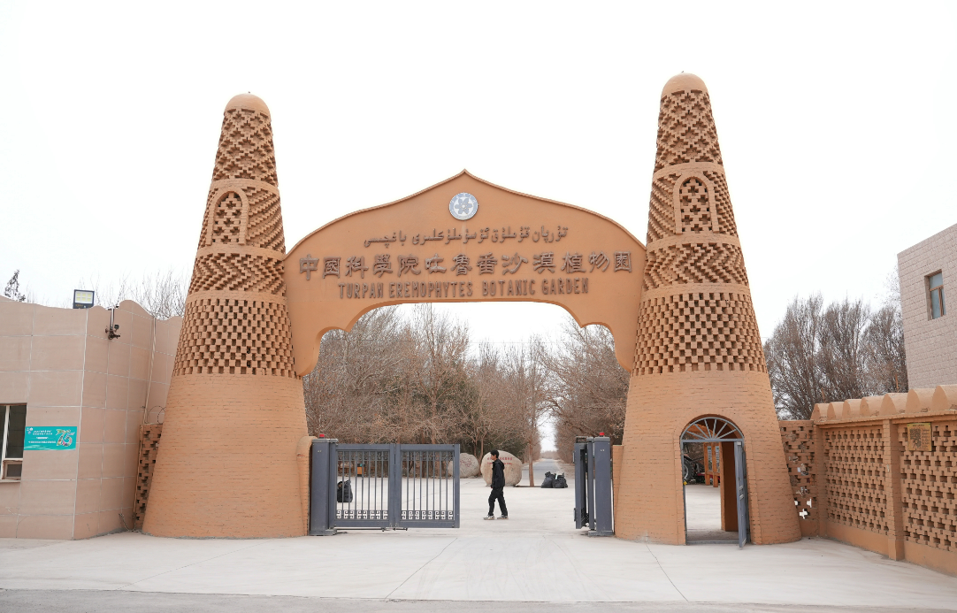 Turpan Desert Ecological Plant Park