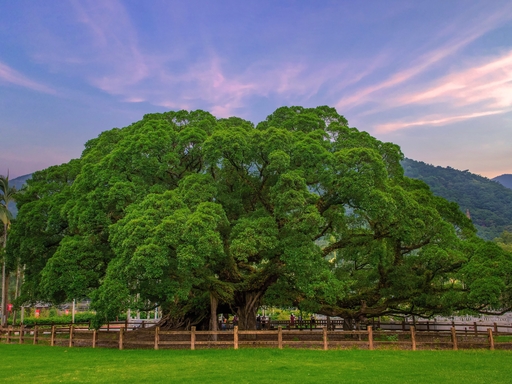 Fuzhou National Forest Park