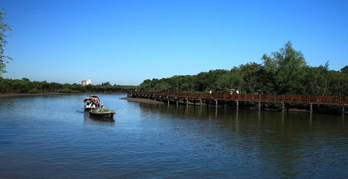 Dongzhai Harbor Mangrove Natural Reserve
